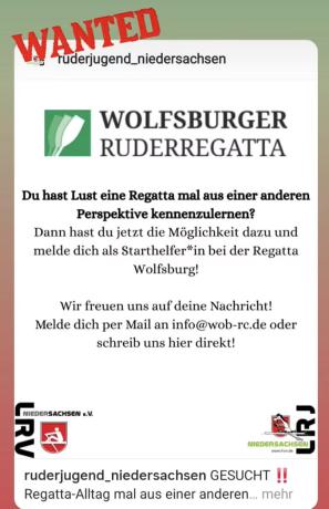 Regattahelfer gesucht 